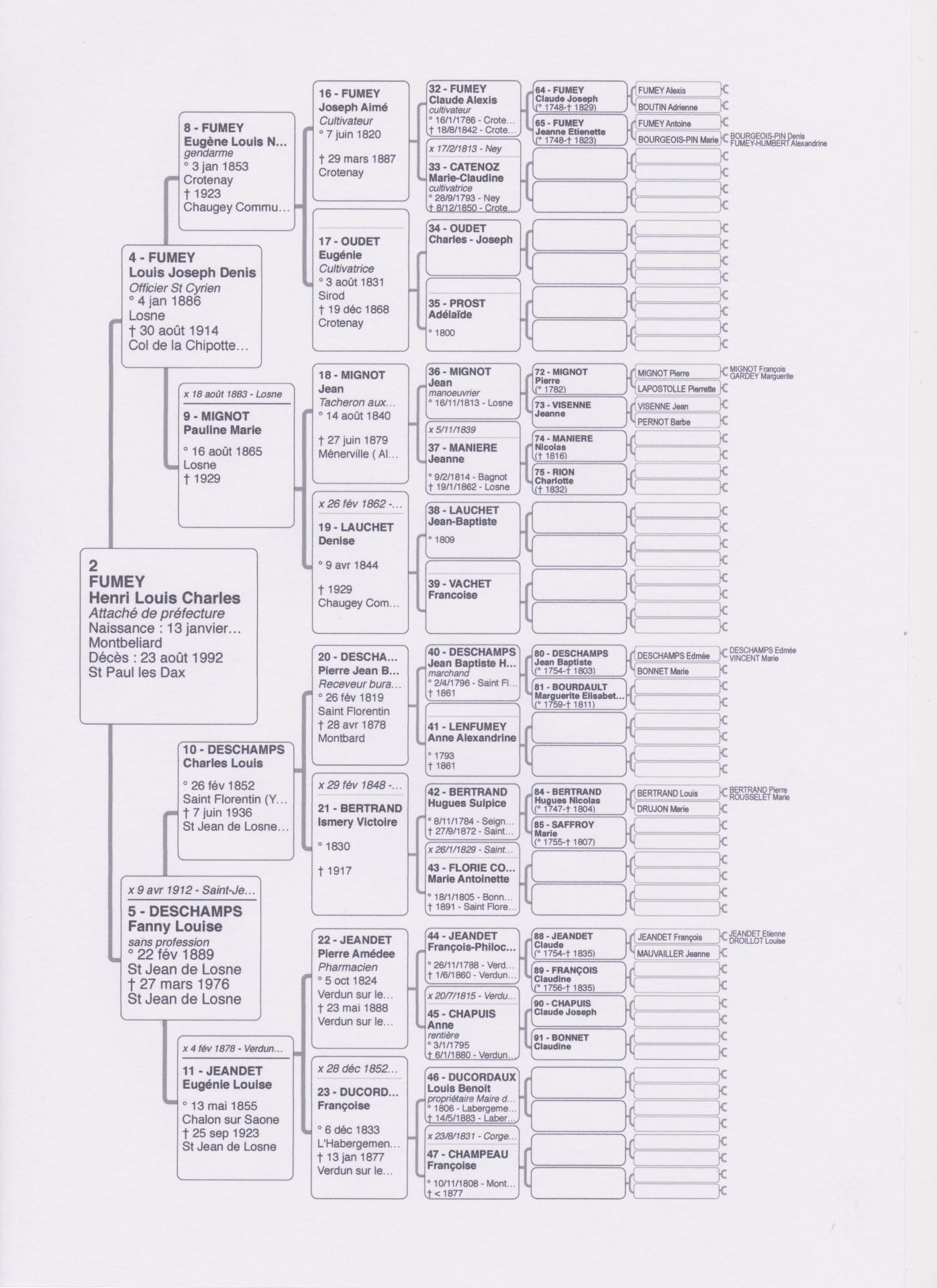 Arbre genealogique 1