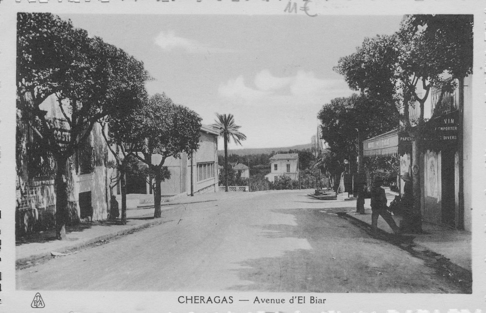 Avenue el biar