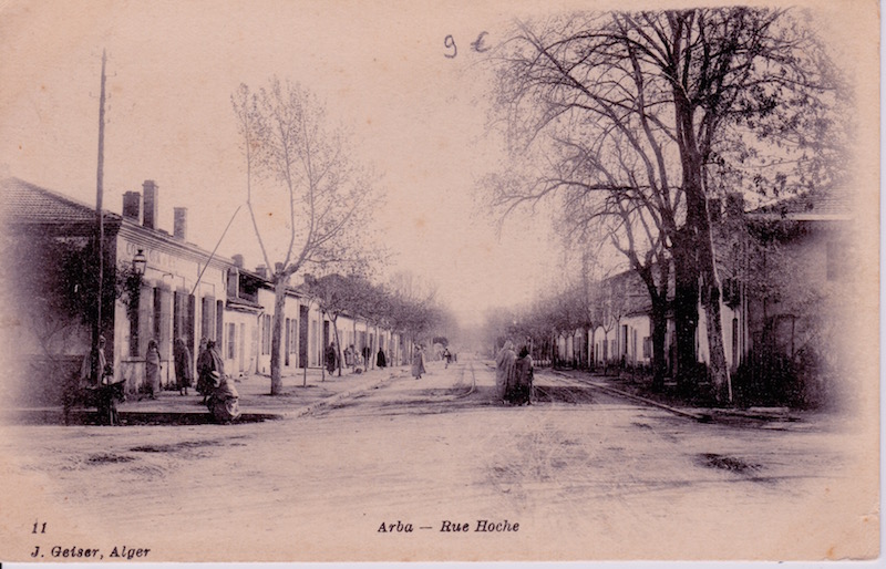 Rue hoche arba