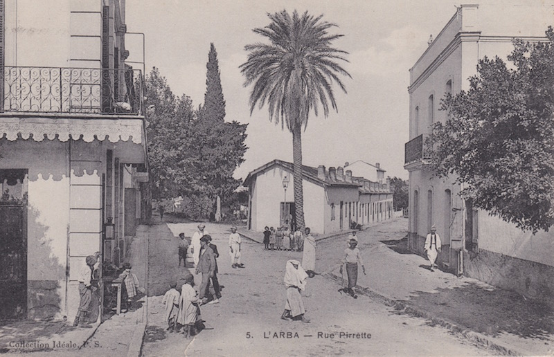 Rue pirette arba